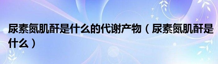 尿素氮肌酐是什么的代謝產(chǎn)物（尿素氮肌酐是什么）