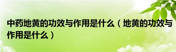 中藥地黃的功效與作用是什么（地黃的功效與作用是什么）