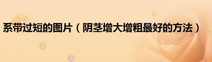 系帶過短的圖片（陰莖增大增粗最好的方法）