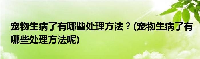 寵物生病了有哪些處理方法？(寵物生病了有哪些處理方法呢)