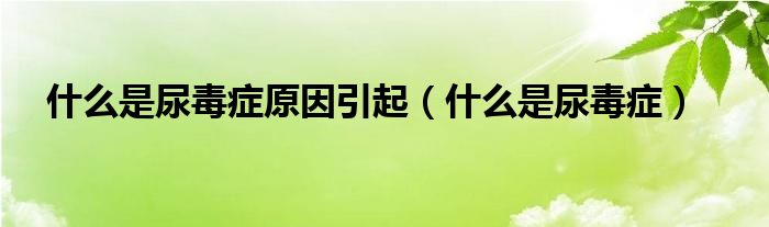什么是尿毒癥原因引起(什么是尿毒癥)