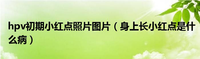 hpv初期小紅點(diǎn)照片圖片（身上長(zhǎng)小紅點(diǎn)是什么?。? /></span>
		<span id=