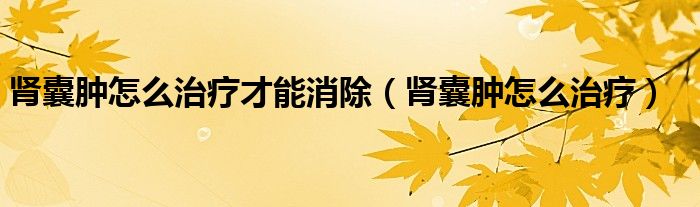 腎囊腫怎么治療才能消除(腎囊腫怎么治療)
