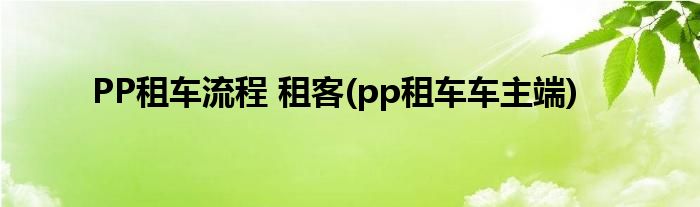 PP租車(chē)流程 租客(pp租車(chē)車(chē)主端)
