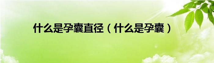 什么是孕囊直徑(什么是孕囊)