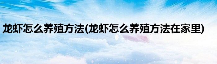 龍蝦怎么養(yǎng)殖方法(龍蝦怎么養(yǎng)殖方法在家里)