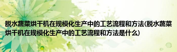 脫水蔬菜烘干機在規(guī)模化生產(chǎn)中的工藝流程和方法(脫水蔬菜烘干機在規(guī)?；a(chǎn)中的工藝流程和方法是什么)