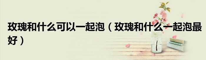 玫瑰和什么可以一起泡（玫瑰和什么一起泡最好）