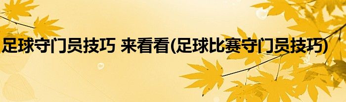 足球守門員技巧 來看看(足球比賽守門員技巧)