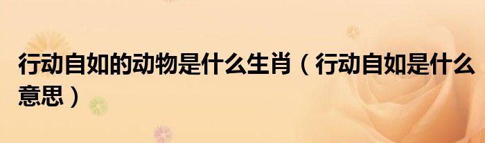 行動(dòng)自如的動(dòng)物是什么生肖（行動(dòng)自如是什么意思）