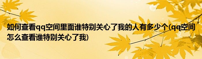 如何查看qq空間里面誰特別關(guān)心了我的人有多少個(gè)(qq空間怎么查看誰特別關(guān)心了我)