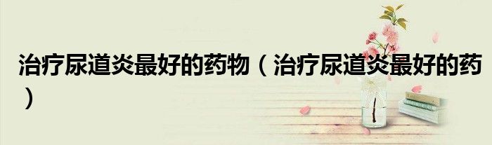 治療尿道炎最好的藥物（治療尿道炎最好的藥）
