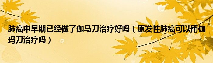 肺癌中早期已經(jīng)做了伽馬刀治療好嗎（原發(fā)性肺癌可以用伽瑪?shù)吨委焼幔?class='thumb lazy' /></a>
		    <header>
		<h2><a  href=