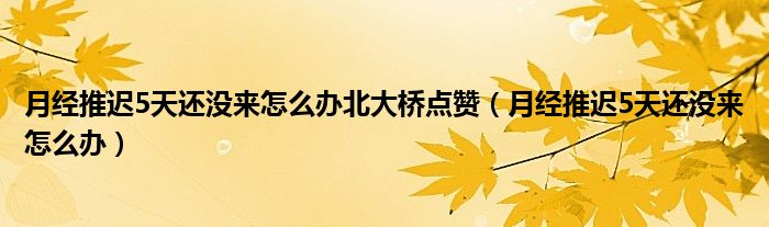月經(jīng)推遲5天還沒來怎么辦北大橋<同仁>點(diǎn)贊（月經(jīng)推遲5天還沒來怎么辦）
