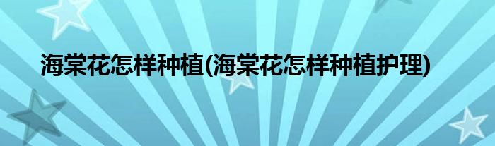 海棠花怎樣種植(海棠花怎樣種植護理)