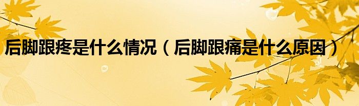 后腳跟疼是什么情況（后腳跟痛是什么原因）