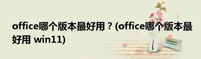 office哪個(gè)版本最好用？(office哪個(gè)版本最好用 win11)