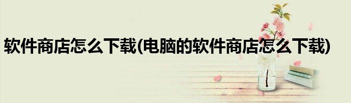 軟件商店怎么下載(電腦的軟件商店怎么下載)