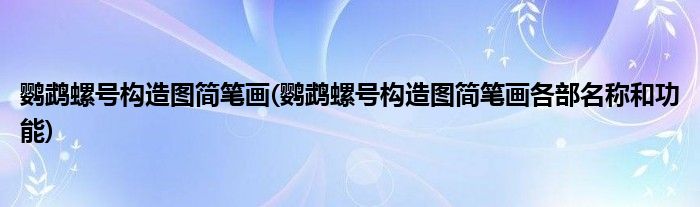 鸚鵡螺號(hào)構(gòu)造圖簡筆畫(鸚鵡螺號(hào)構(gòu)造圖簡筆畫各部名稱和功能)