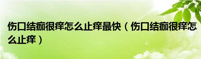傷口結痂很癢怎么止癢最快（傷口結痂很癢怎么止癢）