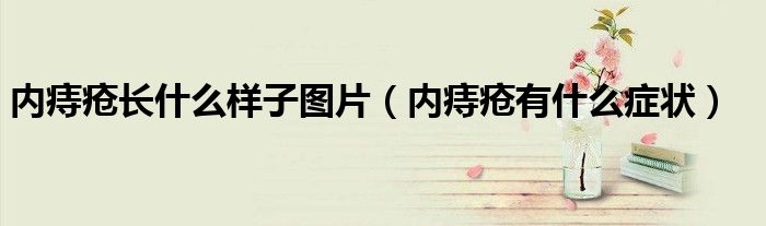內(nèi)痔瘡長(zhǎng)什么樣子圖片（內(nèi)痔瘡有什么癥狀）