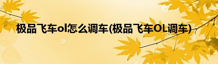 極品飛車ol怎么調車(極品飛車OL調車)