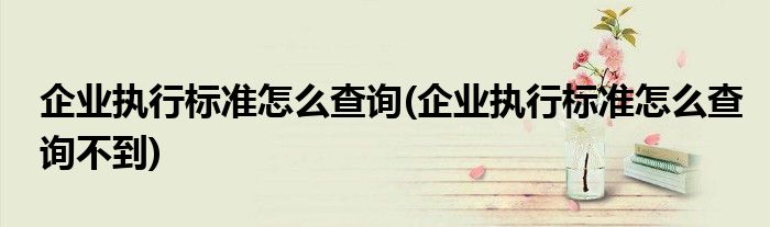 企業(yè)執(zhí)行標準怎么查詢(企業(yè)執(zhí)行標準怎么查詢不到)