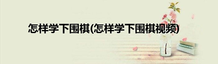 怎樣學(xué)下圍棋(怎樣學(xué)下圍棋視頻)