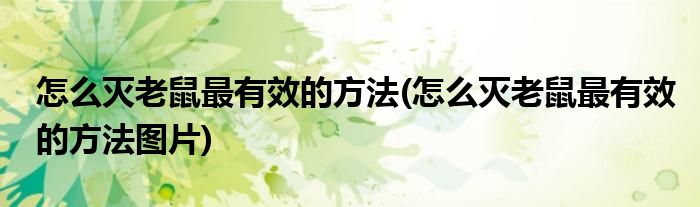 怎么滅老鼠最有效的方法(怎么滅老鼠最有效的方法圖片)