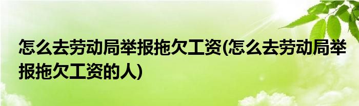 怎么去勞動局舉報拖欠工資(怎么去勞動局舉報拖欠工資的人)