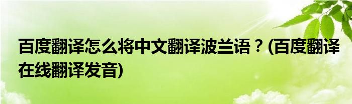 百度翻譯怎么將中文翻譯波蘭語？(百度翻譯在線翻譯發(fā)音)