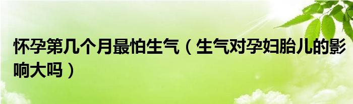 懷孕第幾個(gè)月最怕生氣（生氣對孕婦胎兒的影響大嗎）