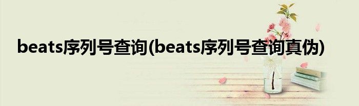 beats序列號(hào)查詢(beats序列號(hào)查詢真?zhèn)?