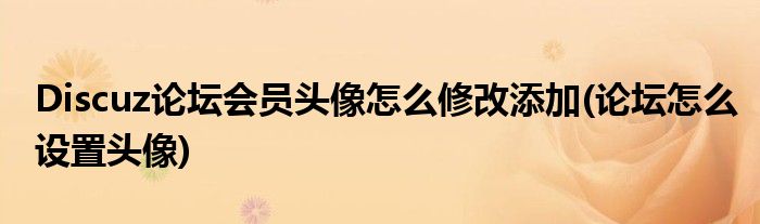 Discuz論壇會員頭像怎么修改添加(論壇怎么設置頭像)