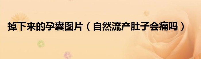 掉下來的孕囊圖片(自然流產(chǎn)肚子會痛嗎)