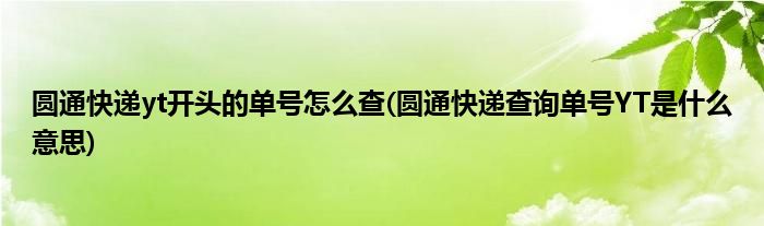圓通快遞yt開頭的單號怎么查(圓通快遞查詢單號YT是什么意思)