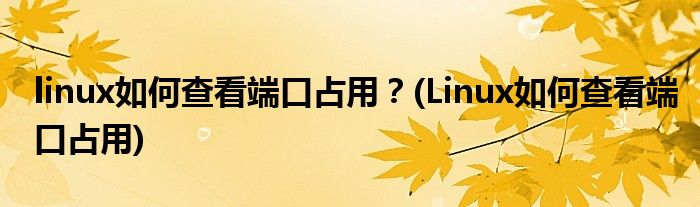 linux如何查看端口占用？(Linux如何查看端口占用)