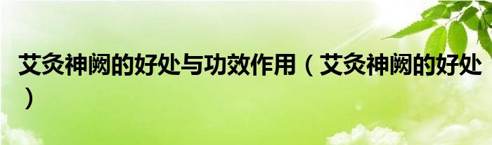 艾灸神闕的好處與功效作用（艾灸神闕的好處）
