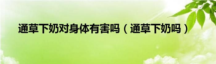 通草下奶對(duì)身體有害嗎(通草下奶嗎)