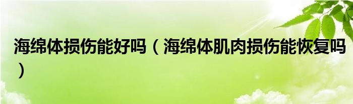 海綿體損傷能好嗎（海綿體肌肉損傷能恢復(fù)嗎）