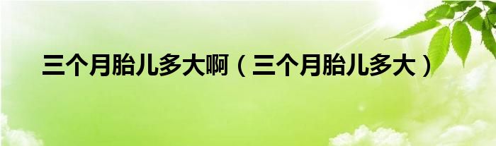 三個(gè)月胎兒多大啊（三個(gè)月胎兒多大）
