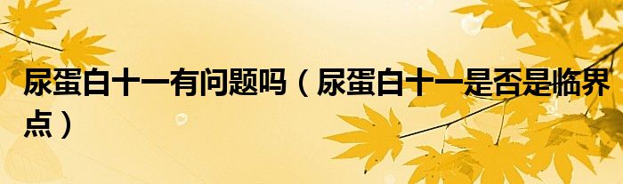 尿蛋白十一有問(wèn)題嗎（尿蛋白十一是否是臨界點(diǎn)）