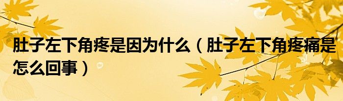 肚子左下角疼是因?yàn)槭裁矗ǘ亲幼笙陆翘弁词窃趺椿厥拢?class='thumb lazy' /></a>
		    <header>
		<h2><a  href=