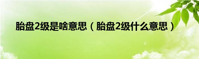 胎盤2級是啥意思（胎盤2級什么意思）