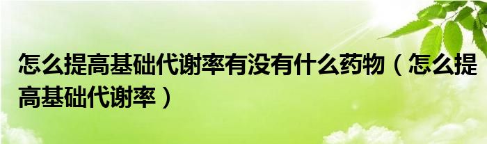 怎么提高基礎代謝率有沒有什么藥物（怎么提高基礎代謝率）