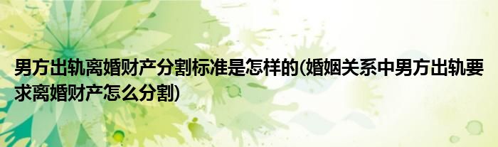 男方出軌離婚財(cái)產(chǎn)分割標(biāo)準(zhǔn)是怎樣的(婚姻關(guān)系中男方出軌要求離婚財(cái)產(chǎn)怎么分割)