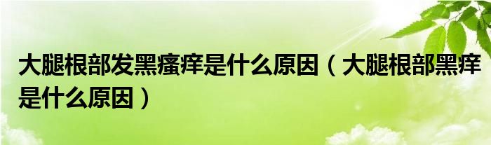 大腿根部發(fā)黑瘙癢是什么原因（大腿根部黑癢是什么原因）