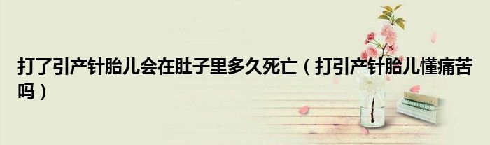 打了引產(chǎn)針胎兒會在肚子里多久死亡（打引產(chǎn)針胎兒懂痛苦嗎）