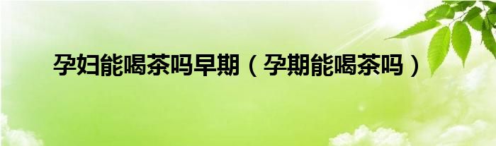 孕婦能喝茶嗎早期（孕期能喝茶嗎）