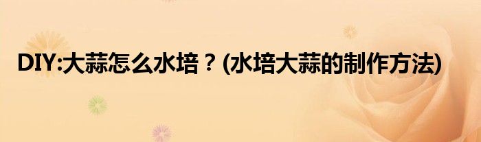 DIY:大蒜怎么水培？(水培大蒜的制作方法)